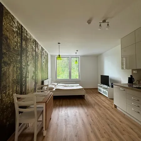 Krumlovsky Vltavin Apartament Czeski Krumlow