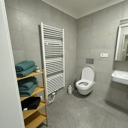 Apartment Krumlovsky Vltavin